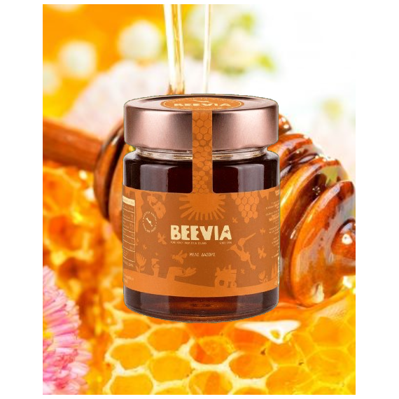 Μέλι Δάσους 450gr - Μέλι - Πετιμέζι στο Evia fine foods
